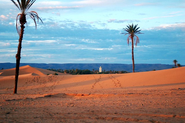 dune bashing
