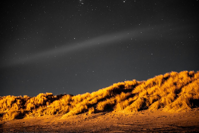 dune bashing