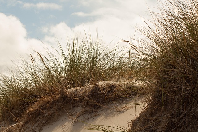 dune bashing