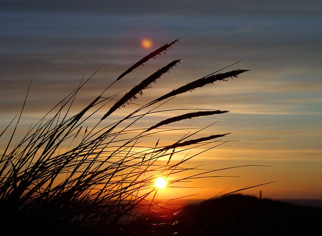 dune-bashing-640x480-83088129.jpeg