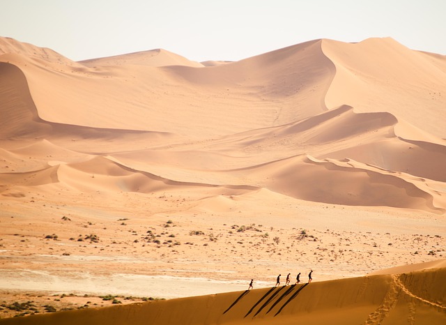 dune bashing