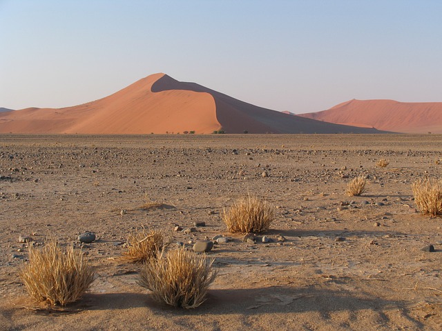 Luxury Desert Tours UAE: Dune Bashing, Stunning Landscapes & Ultimate Safari Experiences