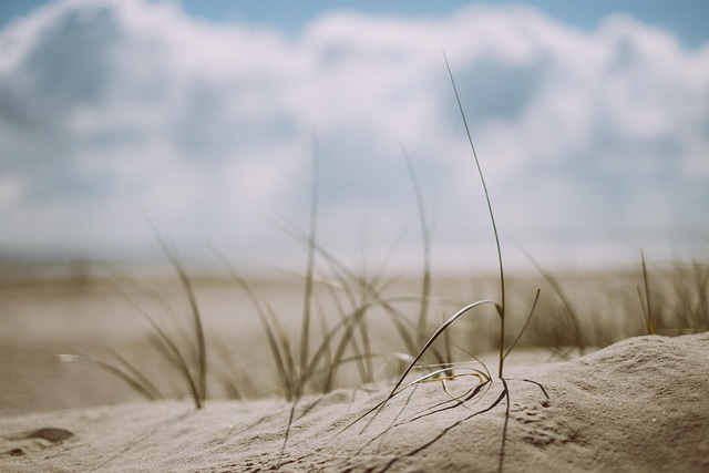 dune buggies