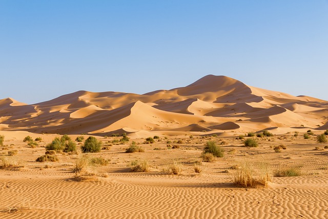 dune buggies
