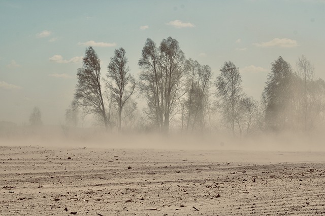 dune-buggy-640x480-16873665.jpeg