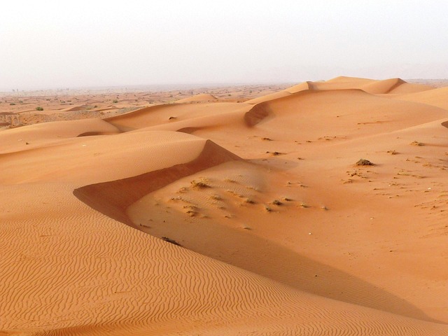 dune buggy