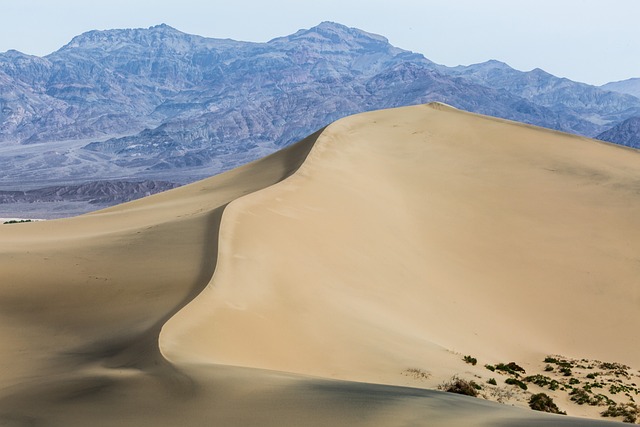 dune-buggy-bur-640x480-40469414.jpeg