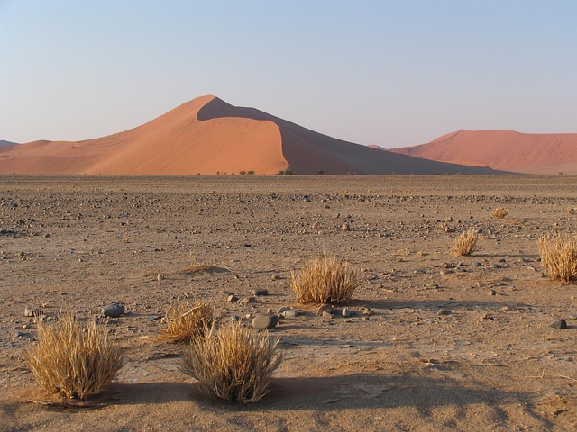 dune-buggy-business-640x480-99952951.jpeg