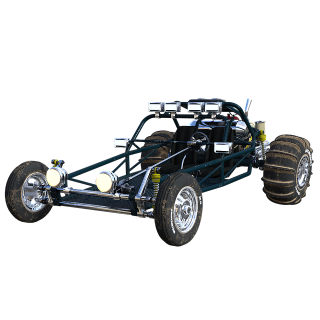 Dune buggy Discovery Gardens