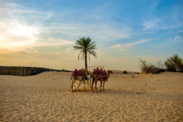 dune buggy dubai