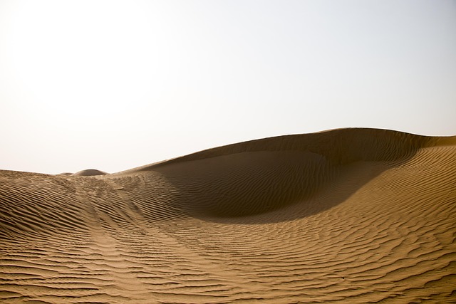Dune buggy Dubai Silicon