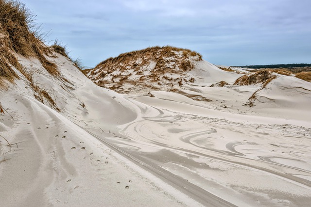 dune buggy experience