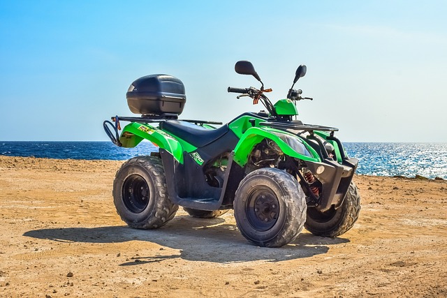 dune buggy experience