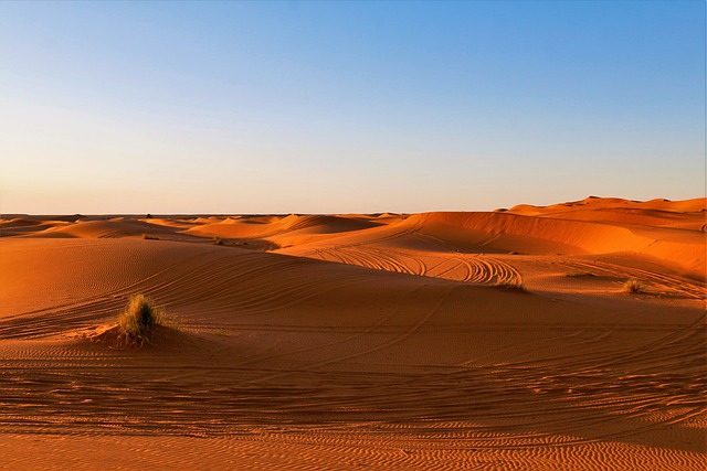 Dune Buggy Experiences