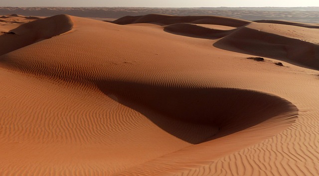 dune-buggy-hire-640x480-97729809.jpeg