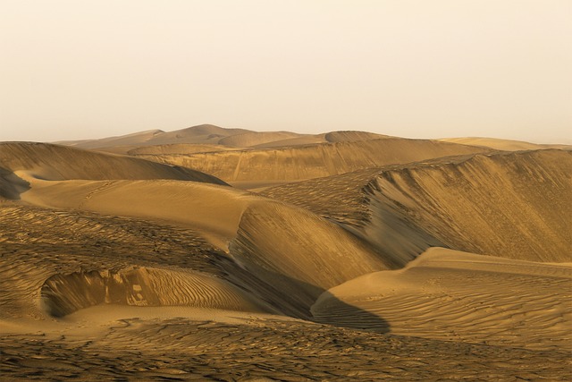 Dune buggy Jebel Ali