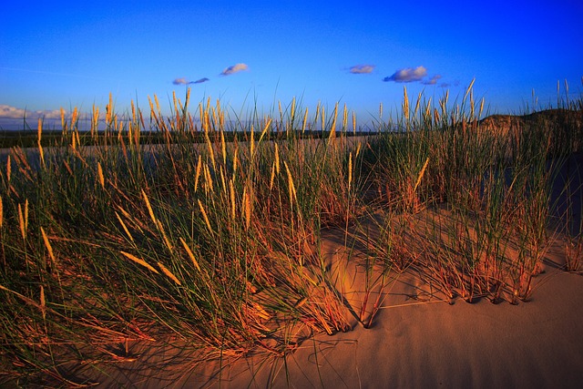 Luxury Dune Adventure: Hiring the Ultimate Jumeirah Dubai Tour Guide