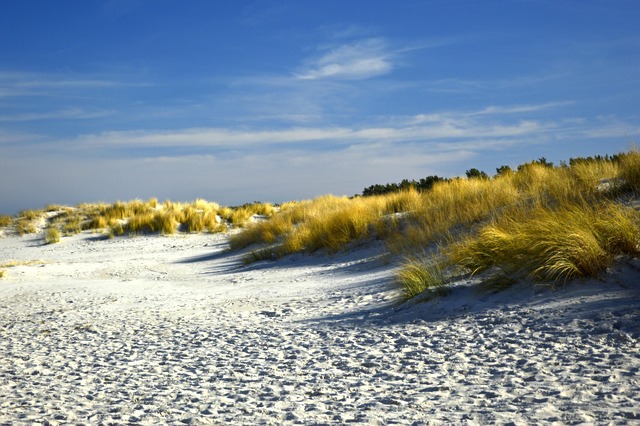 dune-buggy-jumeirah-640x480-89193572.jpeg