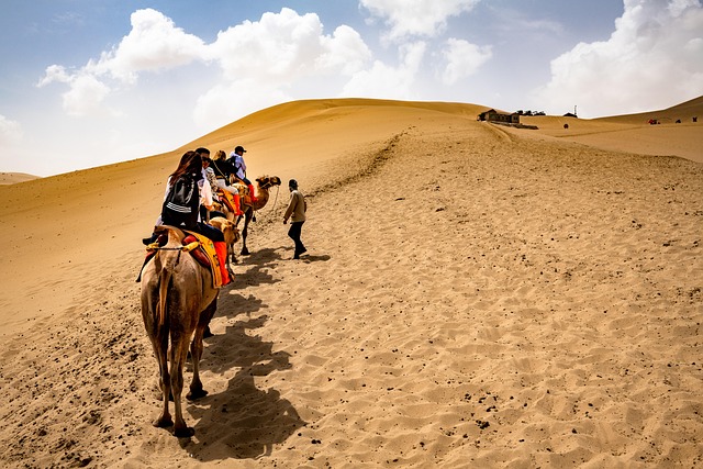 Dune Buggy Rides: Thrilling Desert Adventures in Dubai
