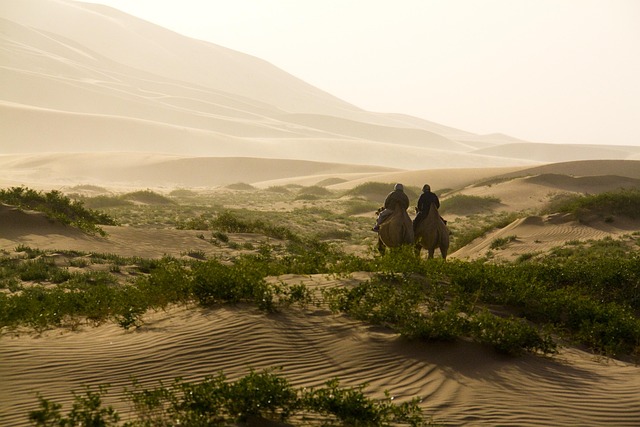 Experience Dubai’s Desert: Personalized Dune Buggy Tours for Adventure Seekers