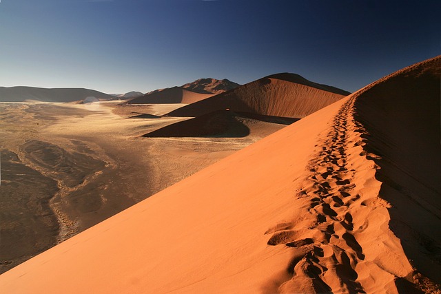 Dune Buggy Safari Dubai: An Ultimate Desert Off-Road Adventure Guide