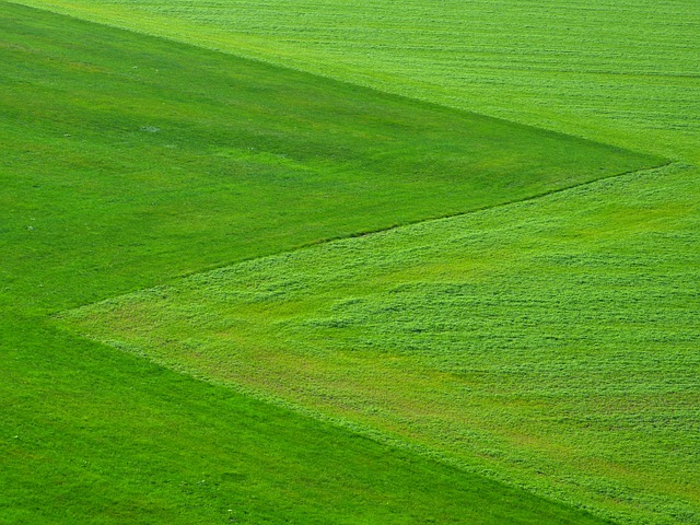 Dune buggy The Greens