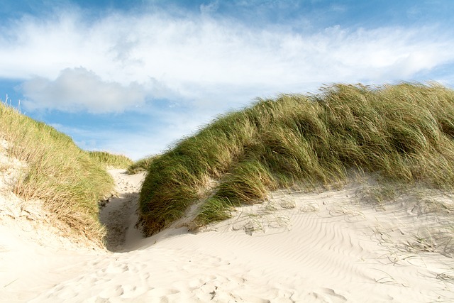 Dune buggy The Greens