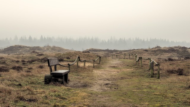 Dune buggy The Meadows