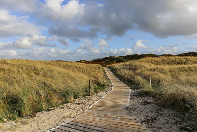 Dune buggy The Meadows