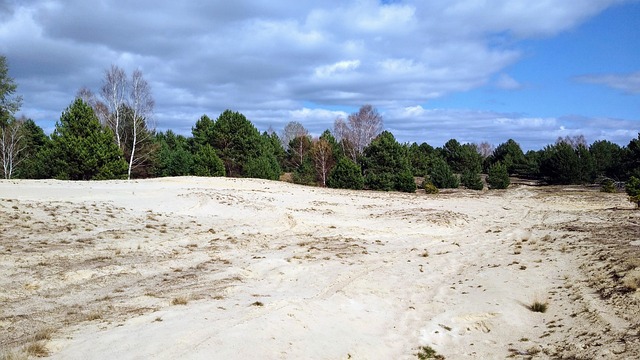 Dune buggy The Springs