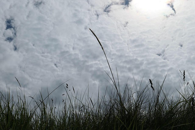 dune-buggy-the-springs-640x480-73715037.jpeg