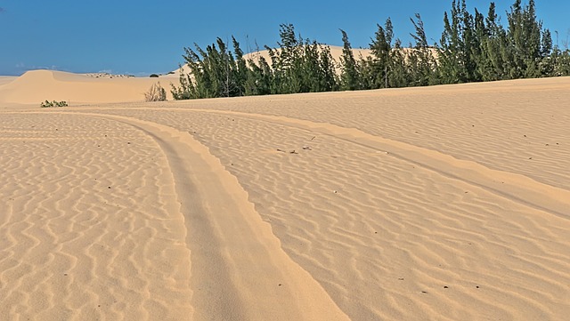 dune buggy tour