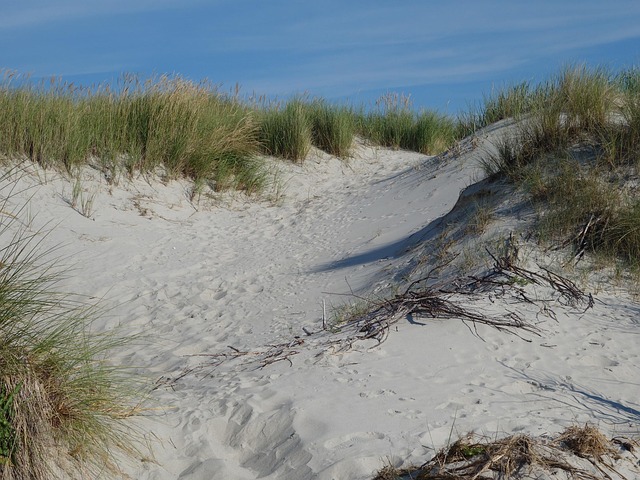 dune buggy tour