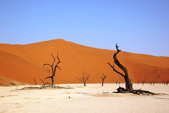 Experience Dubai’s Desert: Exclusive Custom Dune Buggy Tours