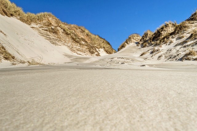 Dune Buggy Tours