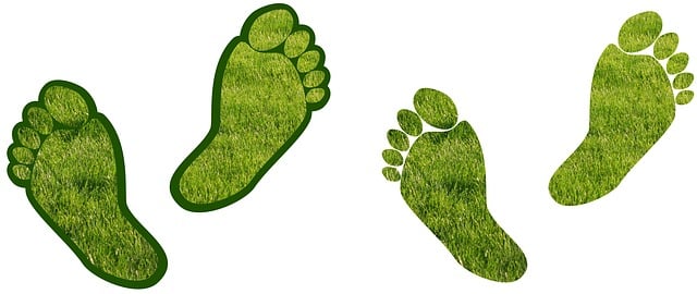Eco-Friendly Desert