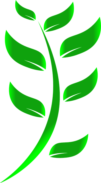 Eco-Friendly Desert