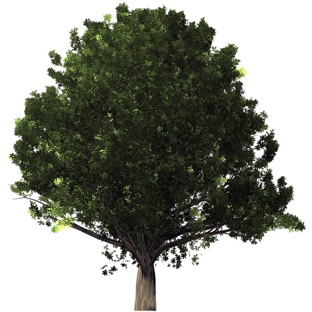 eco-friendly-desert-640x480-66334194.png