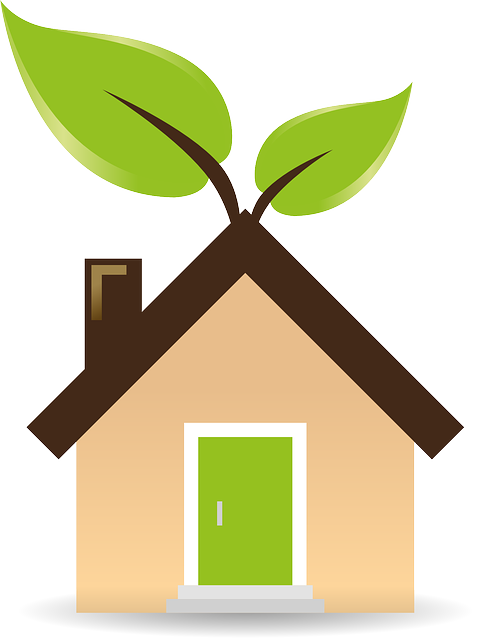 Eco-Friendly Desert