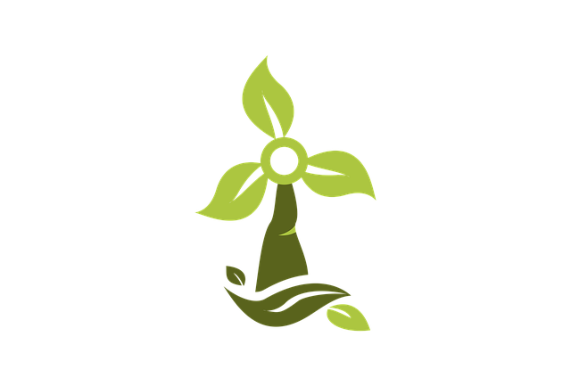 Eco-Friendly Desert