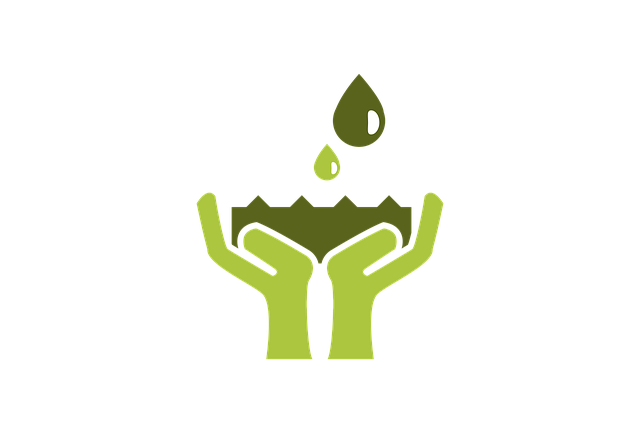 Eco-Friendly Desert