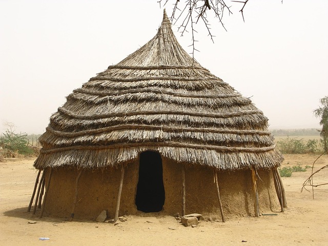 Eco-Friendly Desert
