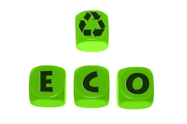 Eco-Friendly Desert