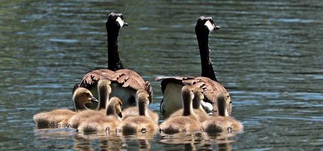 family-tour-packages-640x480-27939876.jpeg