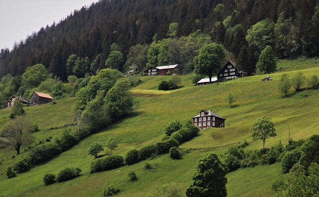 Family Tour Packages