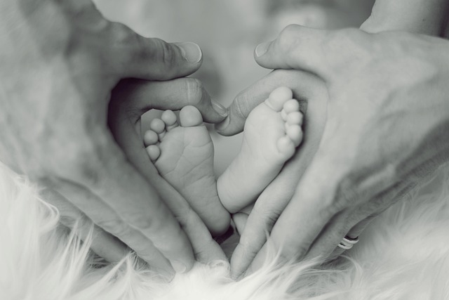 Family Tour Packages