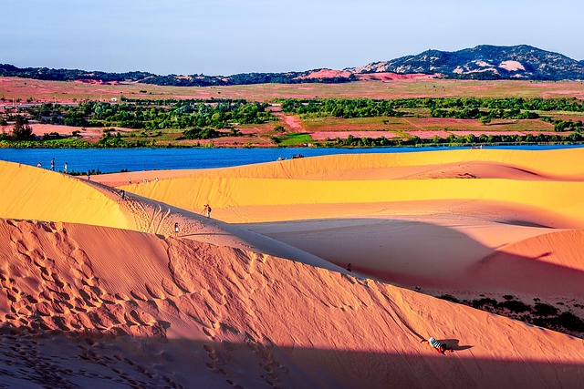 Friends Group Desert