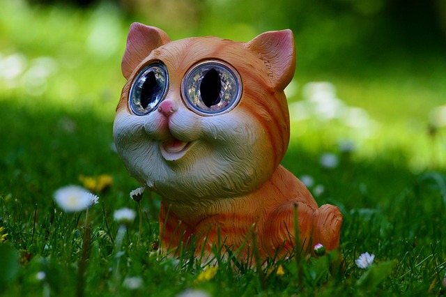fun-package-640x480-2849920.jpeg