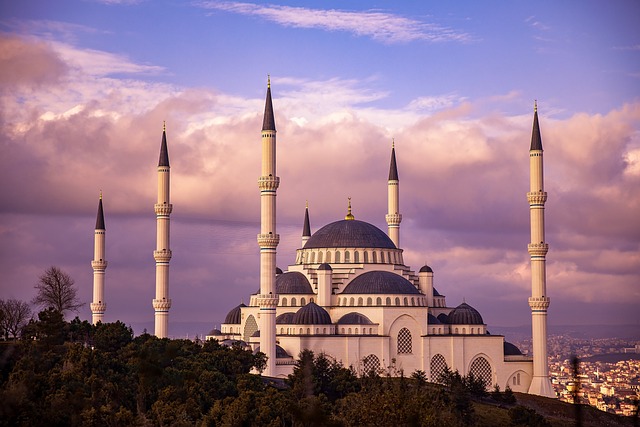 Discover Abu Dhabi’s Grand Mosque: Sightseeing Pass and Beyond