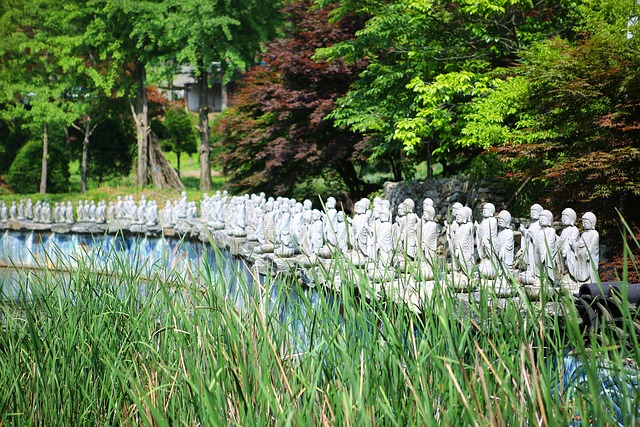 Guided Tours